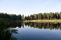 Kiefernsee in der Teverener Heide