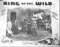 Vignette pour King of the Wild