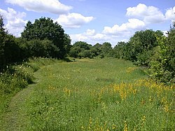 Kingston and Bourn old railway Local Nature Reserve - geograph.org.uk - 871131.jpg