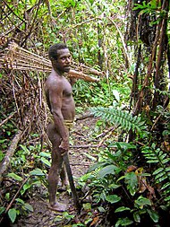 Korowai people of New Guinea practised cannibalism until very recent times KorowaiHombre01.jpg