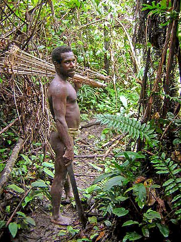 Before the 1970s, the Korowai people of Papua were an uncontacted people.