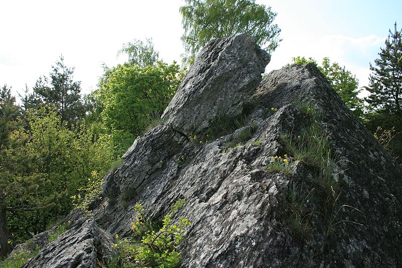 File:Kremenets Mountains, 10.05.2008 03.jpg