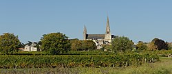 L'Eglise du Puy-Notre-Dame dans le vignoble. DSC 1889.jpg