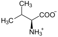 Deutsch: Struktur von L-Valin unter physiologischen Bedingungen English: Structure of L-valine under physiological conditions