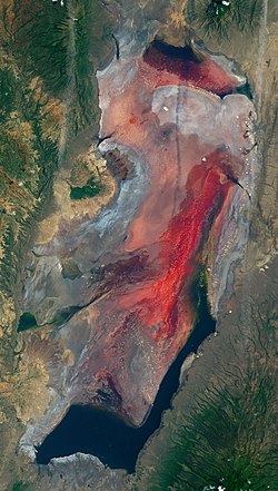 Lake Natron (Tanzania) – 2017-03-06 (very early in rainy season) – satellite image (cropped).jpg