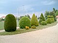 Il lavoro del giardiniere del villaggio.JPG