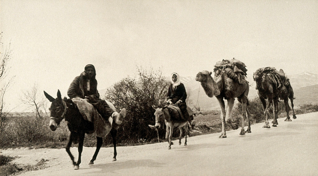 File:Lebanon Bekaa.png