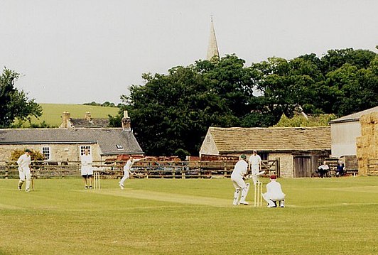 Ledsham - Village Cricket.jpg