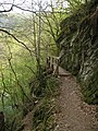 Lieserpfad in der Eifel