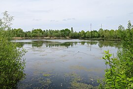 La partie orientale de l'étang.