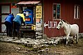 File:Life in the Langtang valley.jpg