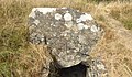 The early neolithic Uley Long Barrow in Gloucestershire.