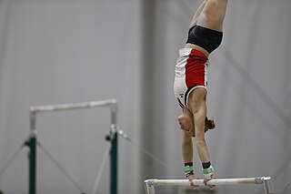 <span class="mw-page-title-main">Lisa Ecker</span> Austrian artistic gymnast
