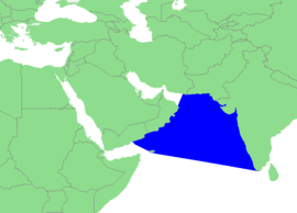 Lagekarte Arabisches Meer