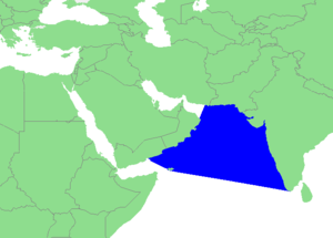 Arabian Sea