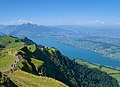 * Nomination View towards Pilatus from Rigi Kulm --Domob 16:17, 1 October 2021 (UTC) * Promotion Too bluish in the distance. --Milseburg 10:13, 2 October 2021 (UTC)  Comment Do you mean the WB is too blue (it seems fine in the foreground), or something else is off (e.g. haze reduction gone wrong)? --Domob 10:42, 2 October 2021 (UTC)  Done I've now made the WB warmer and reduced haze reduction. Let me know what you think. I'll apply similar changes to the other nominations as well once you agree it is better. --Domob 12:56, 2 October 2021 (UTC) Foreground was fine before, now it's to yellow. I would propose to reduce blue only in the background. --Milseburg 22:13, 2 October 2021 (UTC)  Done How's it now? I made the WB overall colder again, and also reduced blue specifically. --Domob 08:04, 3 October 2021 (UTC) Colors are fine now. I also recommend a horizontal correction of the perspective. It looks a bit distorted to the right due to the wide viewing angle. Can you still spend somme more sharpness? Sorry for nagging. --Milseburg 10:18, 3 October 2021 (UTC)  Done Applied some horizontal perspective correction. And no worries, let's make sure we get the most out of our pictures on commons. --Domob 10:33, 3 October 2021 (UTC) Good enough for QI, I think. --Milseburg 09:56, 4 October 2021 (UTC)