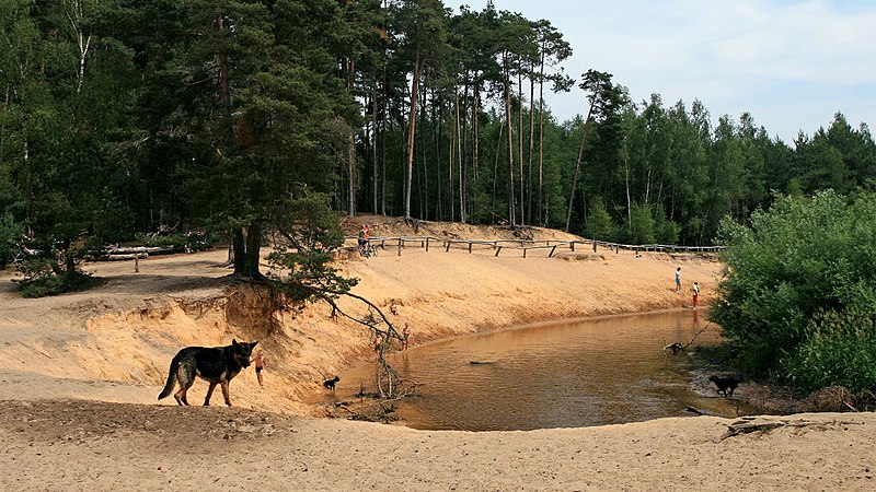 File:Lutterzand met de Dinkel - panoramio.jpg