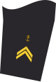 Dienstgradabzeichen eines Oberbootsmannes (70-er Verwendungsreihe) auf dem Unterärmel der Jacke des Dienstanzuges für Marineuniformträger