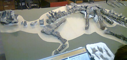 Eoabelisaurus