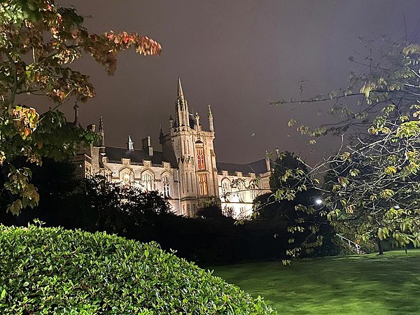 Magee at Night