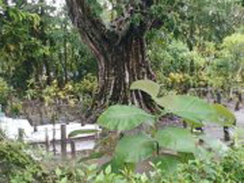 File:Makam Kuno Dusun Gumingsir.jpg