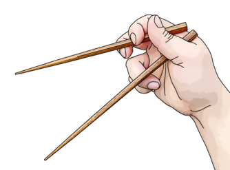 Chopsticks Wiki Thereaderwiki