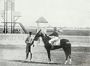 Martimas (horse). Lovers of the horse - brief sketches of men and women of the Dominion of Canada devoted to the noblest of animals. (1909).jpg