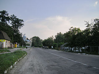 <span class="mw-page-title-main">Medenychi</span> Rural locality in Lviv Oblast, Ukraine