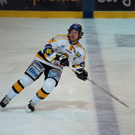 Michal Trávníček - Fribourg-Gottéron vs. HC Litvinov, Exhibition game, 20th February 2010 (1)