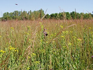 Jay C. Hormel Nature Center Nature preserve in Minnesota, USA