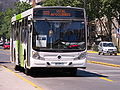 Bus rígido estándar en servicio 503.