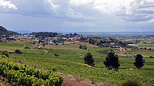 Habiter à Montbrun-des-Corbières