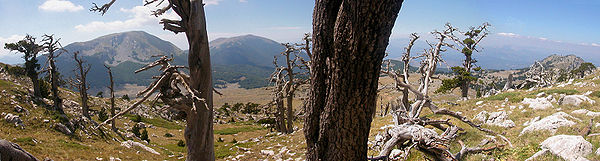 Mont Pollino-01-GGAMBARO.JPG