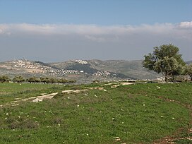 Mount ebal, near nablus 4.jpg