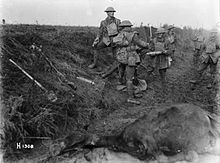 Members of the New Zealand Rifle Brigade operating a mortar at the front near Le Quesnoy, 1918 NZ soldiers at the front near Le Quesnoy, 1918.jpg