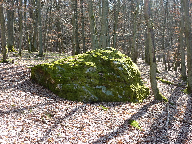 File:Naturdenkmal Dicker Stein P1000810.JPG