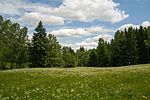 Reserva natural de Lohenbachtal perto de Tannenberg.jpg