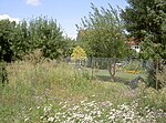 Jüdischer Friedhof (Neustadt an der Waldnaab)