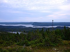 Newfoundland 2006 - 065.jpg