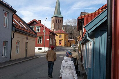 Hvordan komme seg til Kampen med offentlig transport - Om stedet