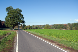 Nutzberg, settlement seen from road to Kahren