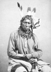 Ne-bah-quah-om, Ojibwe chief