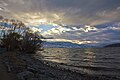 near Maude Roxby Wetland in winter , Kelowna BC Canada, (17.9 megapixels)