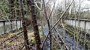 Thumbnail for File:Old rail tracks still in situ, looking back towards Silverdale..jpg