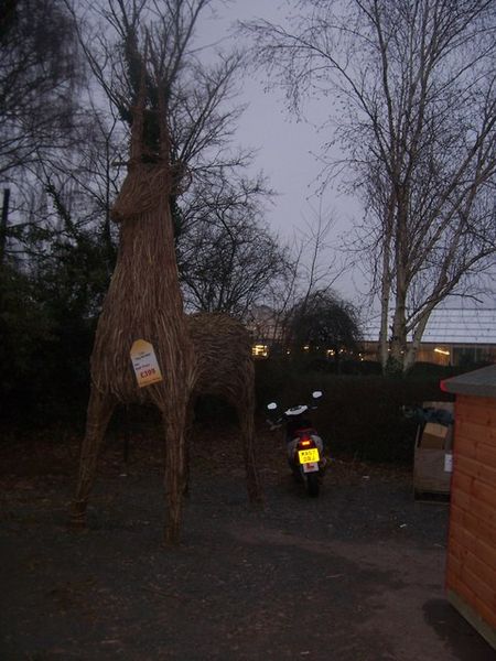 File:Otter Nurseries , Reindeer - geograph.org.uk - 1134880.jpg