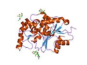 PDB 1ei9 EBI.jpg