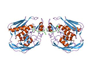 <span class="mw-page-title-main">UDP-3-O-N-acetylglucosamine deacetylase</span> Enzyme