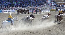 фотография схватки упаковщиков на Bishop Mule Days