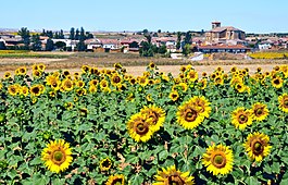 Vista de la localidad