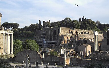 Palatino, vista dal Foro